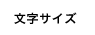 文字サイズ